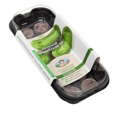 Windowsill Greenhouse Kit - Lebanese Cucumbers