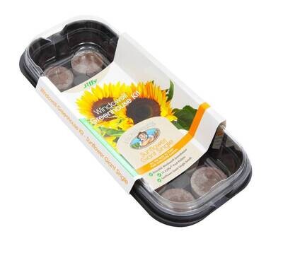 Windowsill Greenhouse Kit - Sunflower