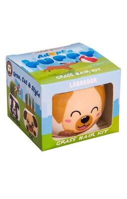 Grass Hair Kit - Puppies (Labrador)