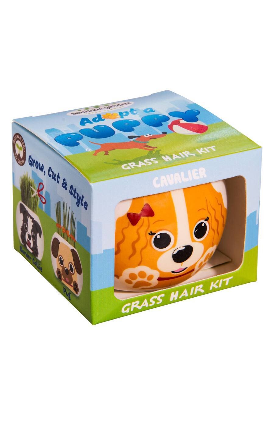 Grass Hair Kit - Puppies (Cavalier)