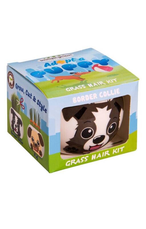 Grass Hair Kit Puppies (Border Collie)