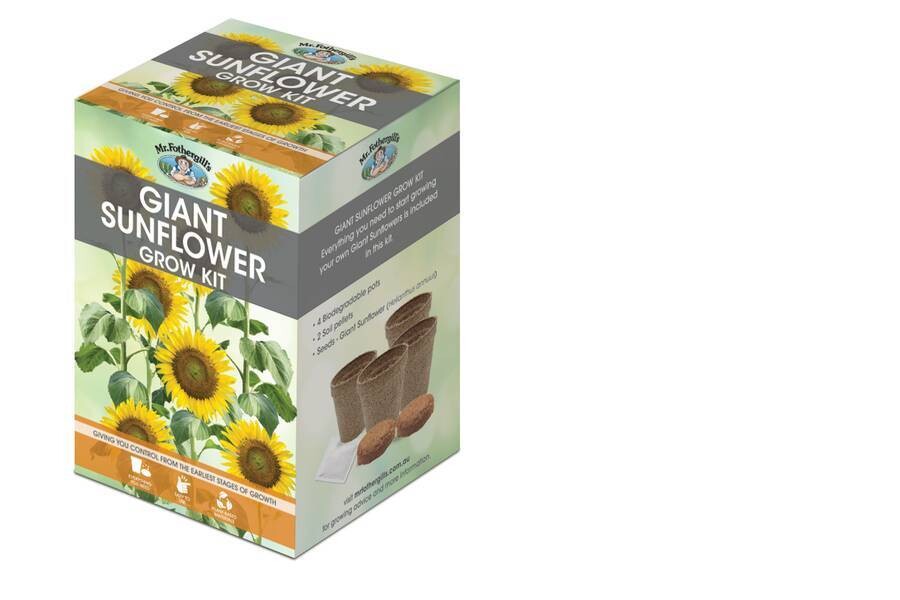 Giant Sunflower Starter Kit