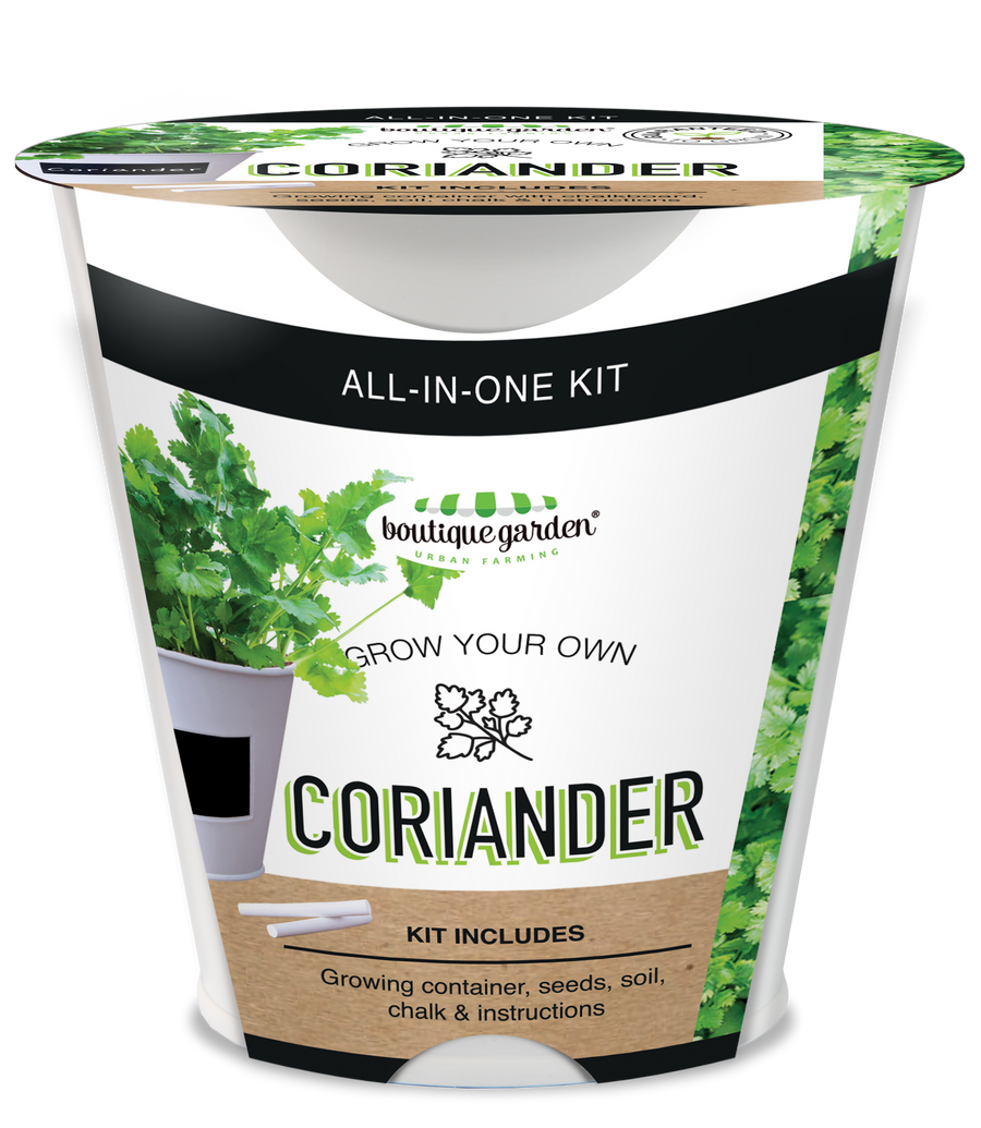 Coriander - Chalkboard Grow Kit Tin