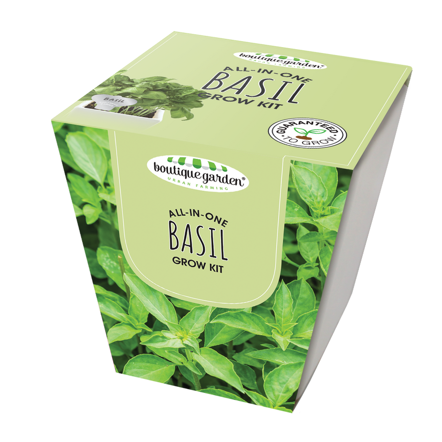 Square Ceramic Pot Basil