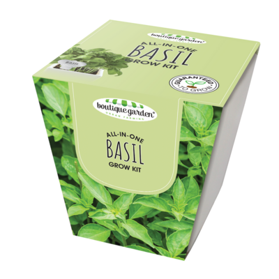 Square Ceramic Pot Basil