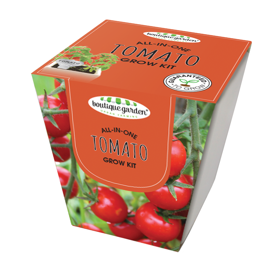 Square Ceramic Pot Tomato