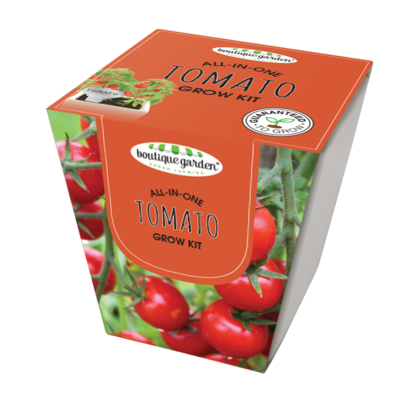 Square Ceramic Pot Tomato