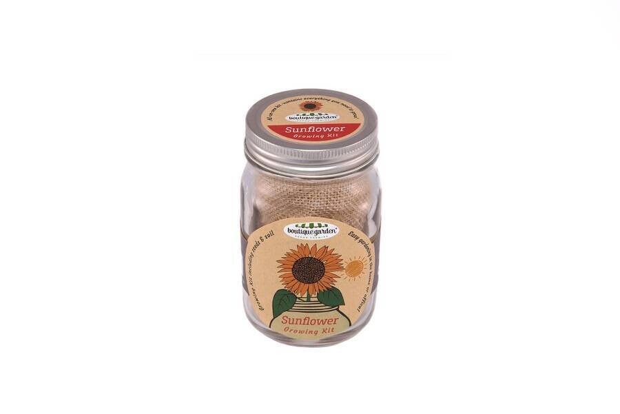 Mason Jar Grow Kits - Sunflower