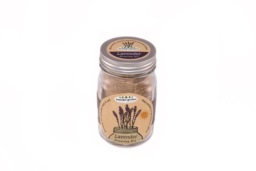 Mason Jar Grow Kits - Lavender
