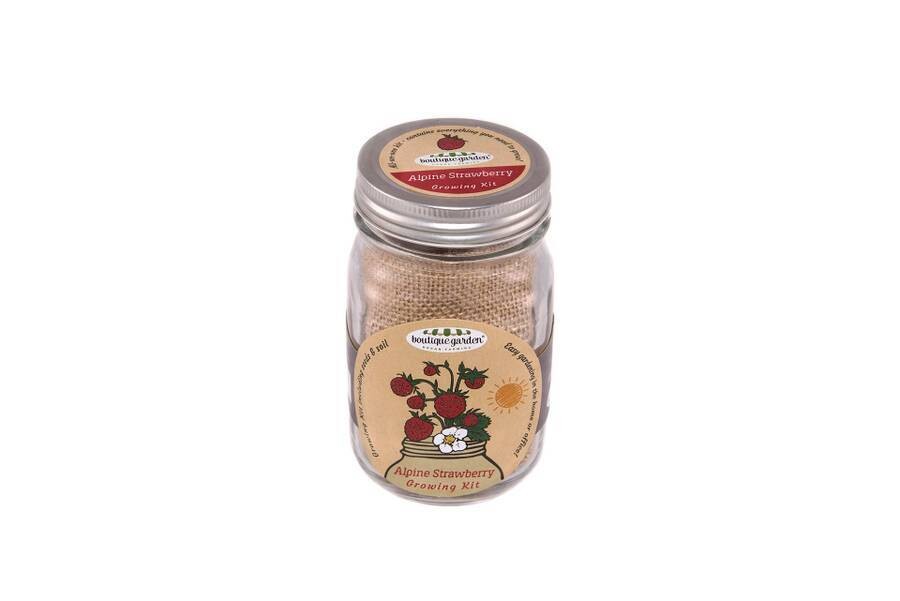 Mason Jar Grow Kits - Strawberry Alpine
