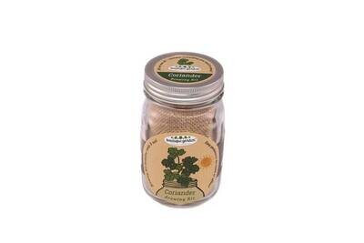 Mason Jar Grow Kits - Coriander