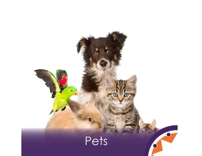 Pets