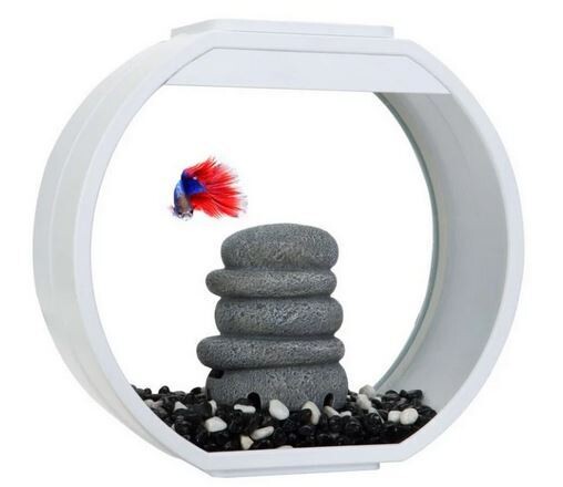 Blue Planet Aquarium Deco O Mini 10L White