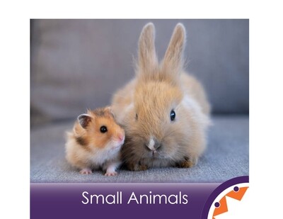 Small Animals