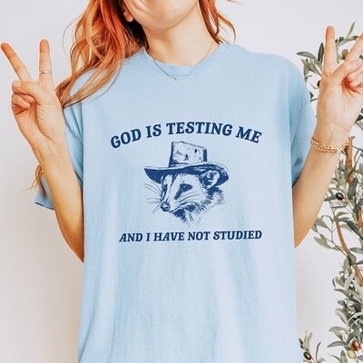 Raccoon God Is Testing Me And I Have Not Studied Meme Shirt