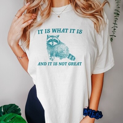 Raccoon It Is What It Is And It Is Not Great Meme Shirt