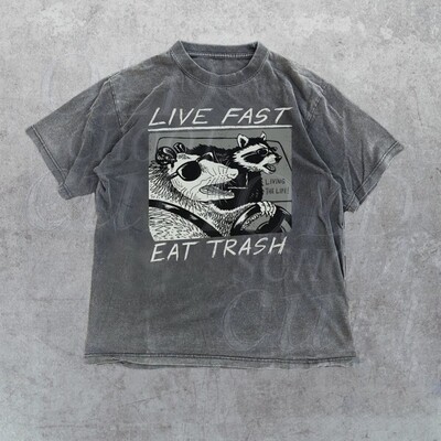 Opossum Live Fast Eat Trash Vintage Shirt, Retro Raccoon Shirt, Trendy Shirts