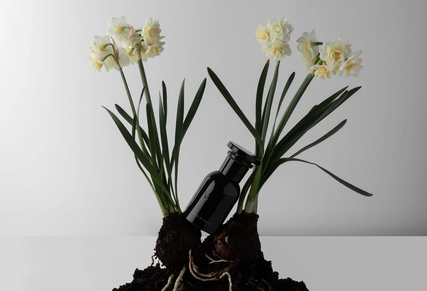 Isle of Blanc Perfume 50ml