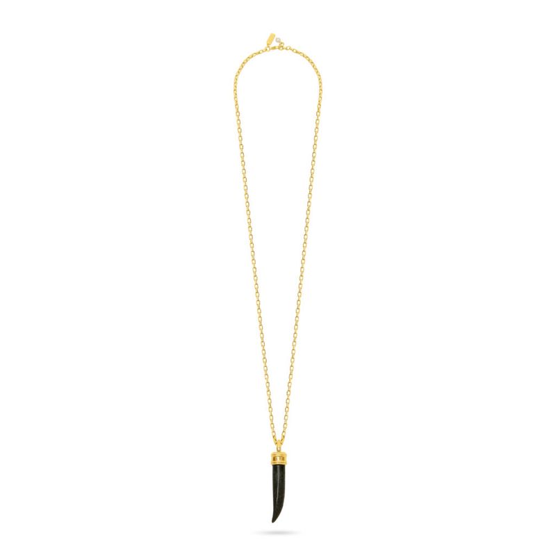 Tusk Pendant Necklace - Indian Agate