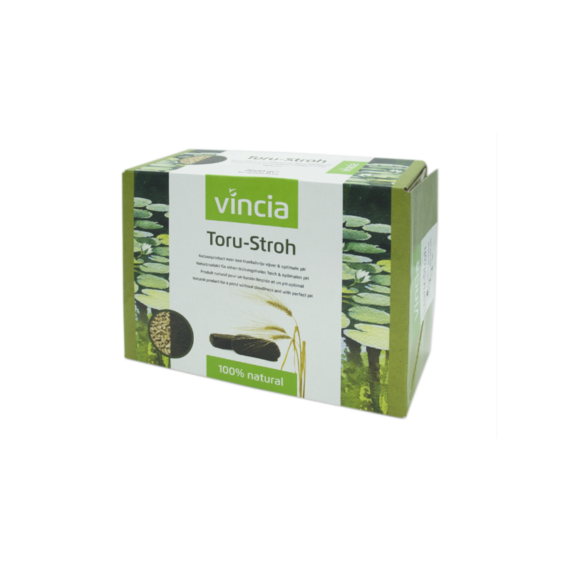 Vincia Toru-Stroh