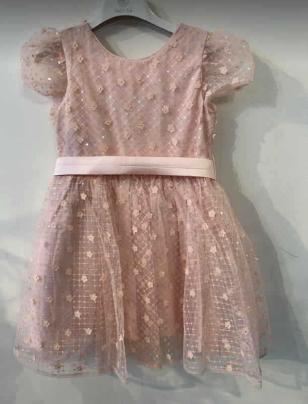 Blush Pink Sequin Dress