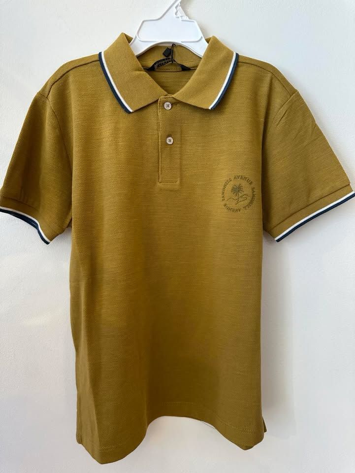 Polo Dune