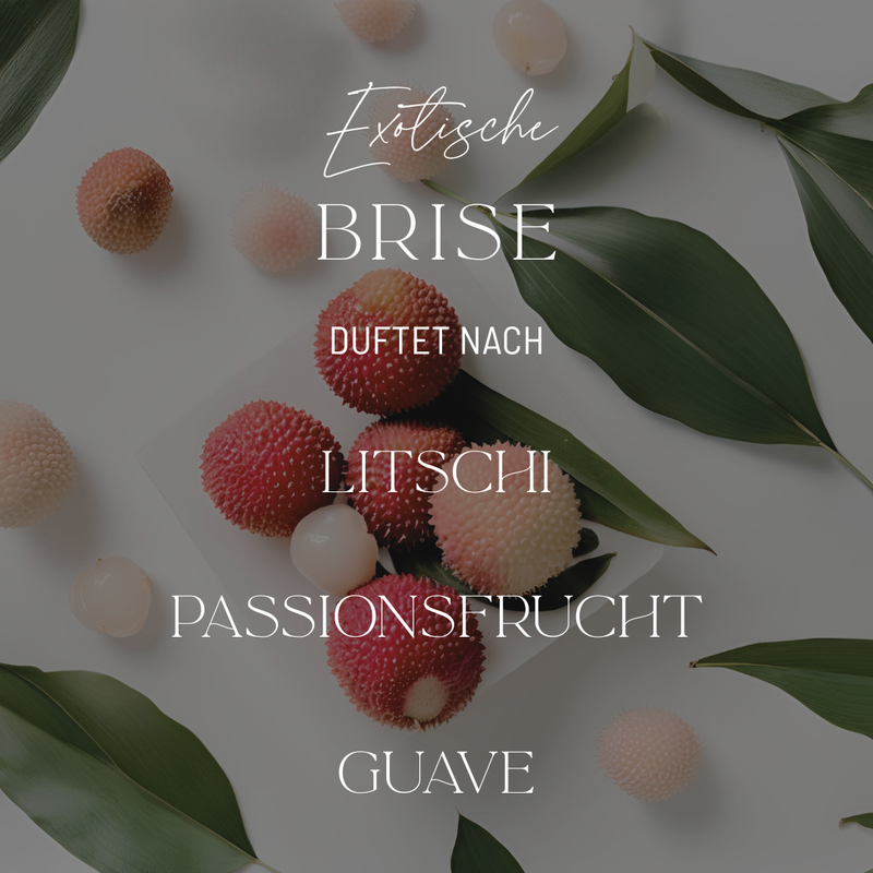 Exotische Brise | Duftkerze N° 1