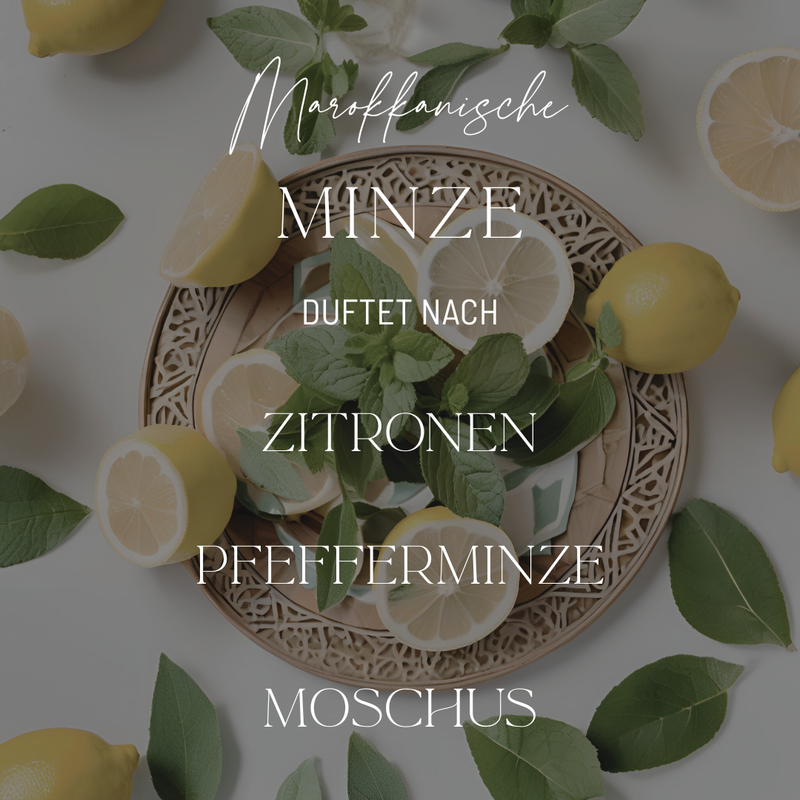 Marokkanische Minze | Duftkerze N° 1