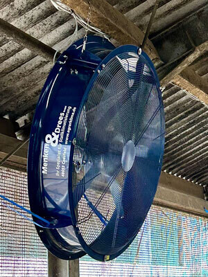 Stallventilator MD EC-Flow 1250 | Holm & Laue Satow