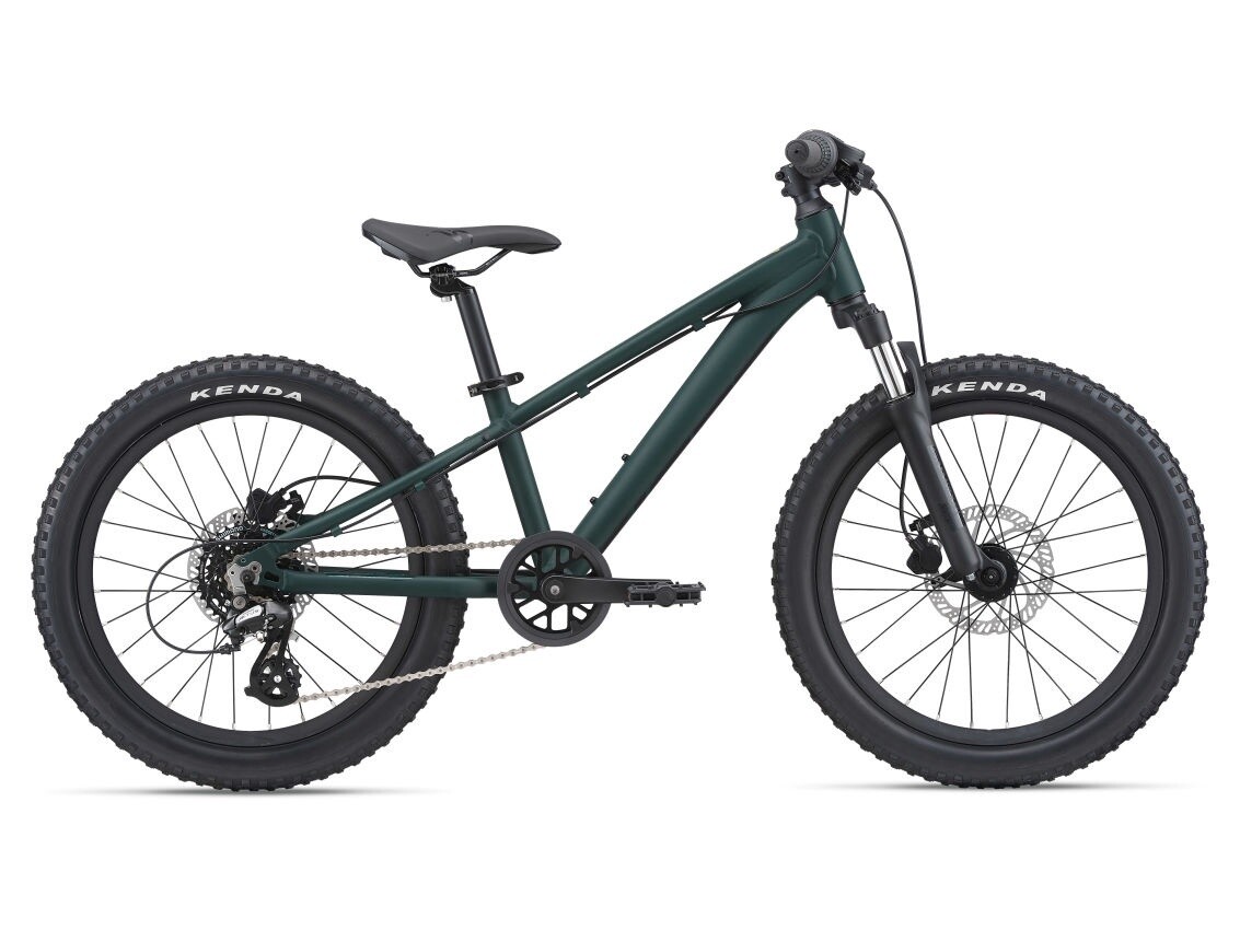 Giant STP 20 FS Trekking Green