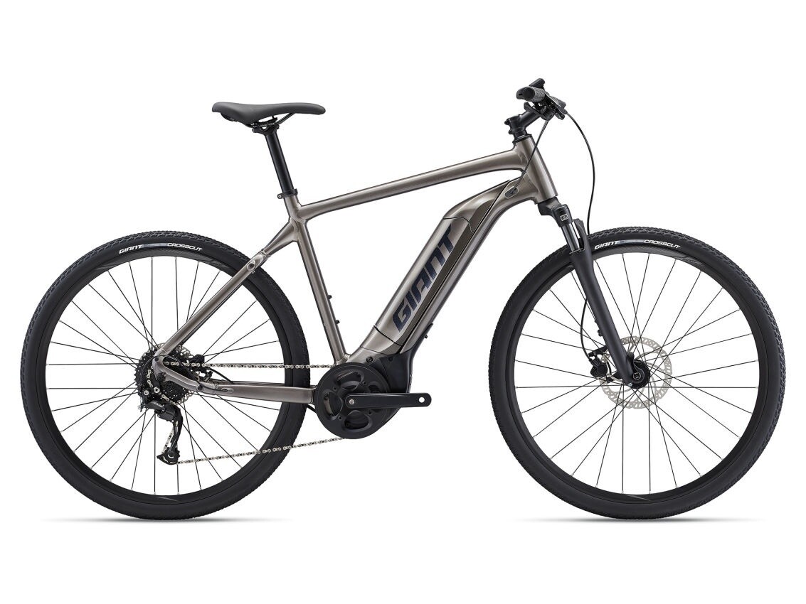 GIANT Roam E+ GTS