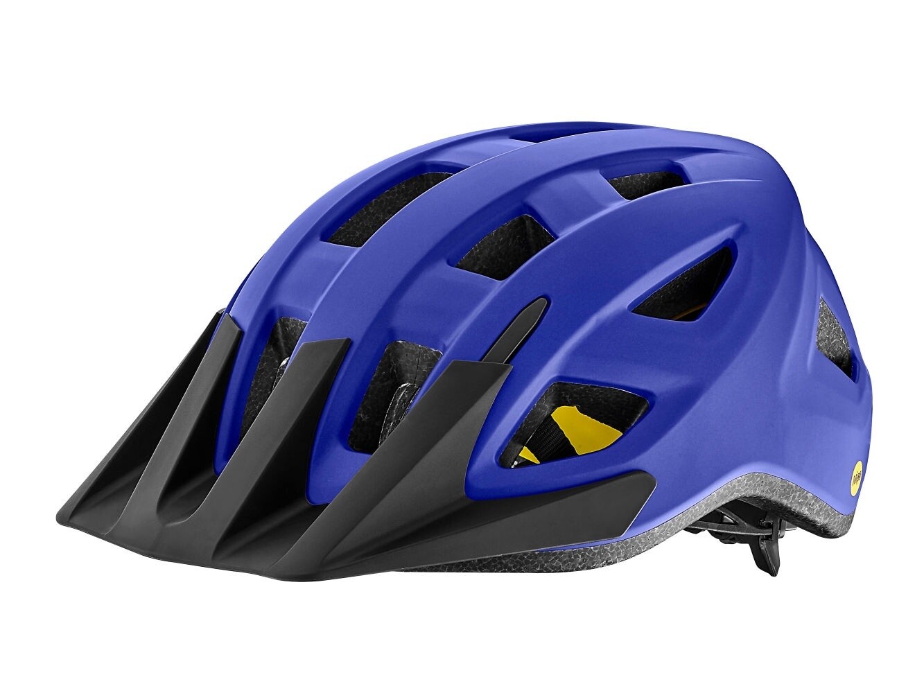 GIANT PATH ARX MIPS HELMET, Colour: SAPPHIRE