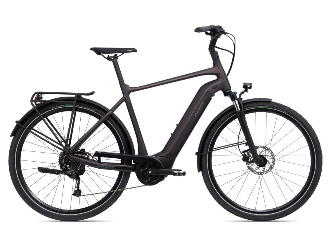 Giant DailyTour E+ 3 GTS D Rose (2022)