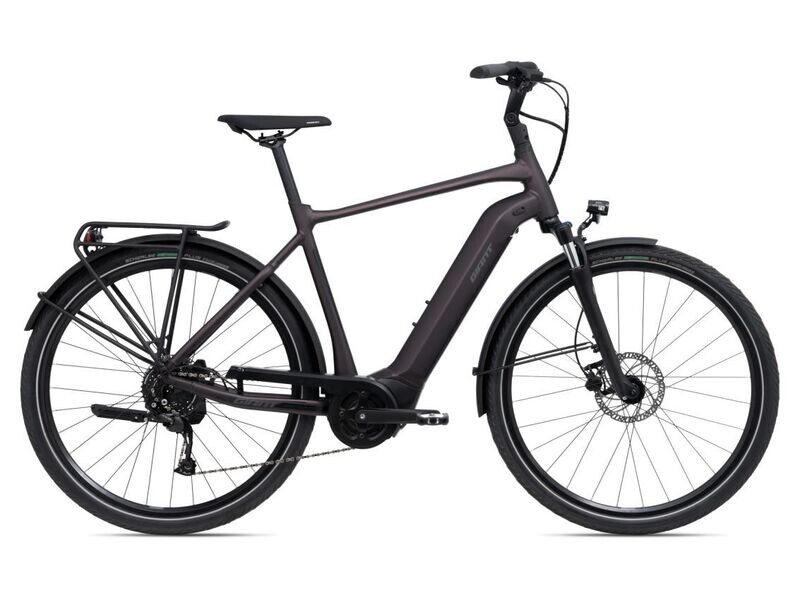 Giant DailyTour E+ 3 GTS D Rose (2022)