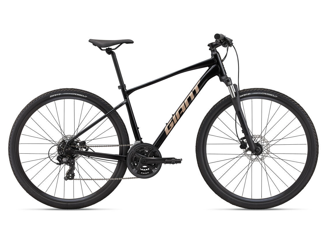 GIANT ROAM DISC 4 (2022)