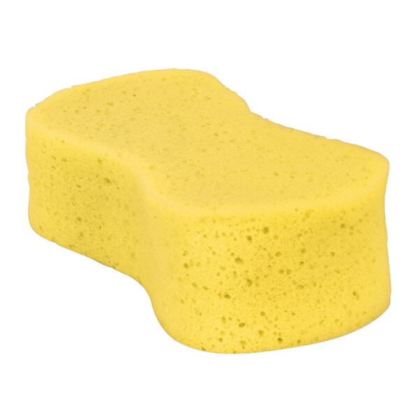 Jumbo Sponge