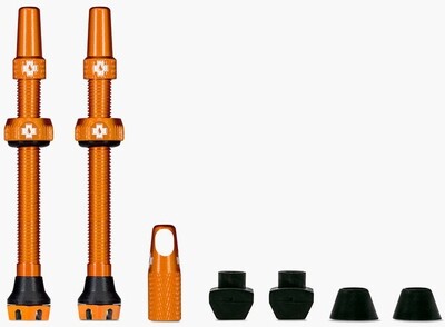 Tubeless valves