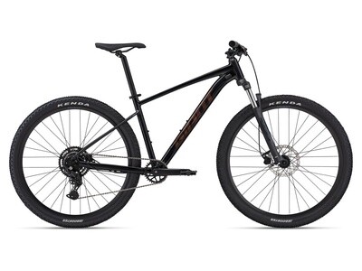 2024 GIANT TALON 2 29