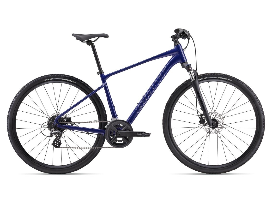 Giant Roam Disk 3 (2024)