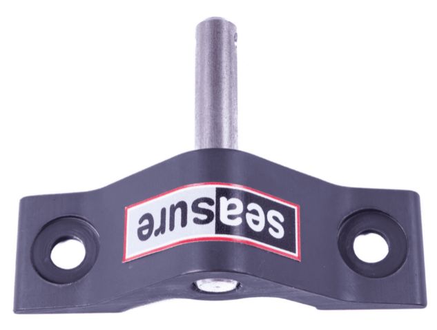 Seasure 18.13 Transom Pintle with 2 holes