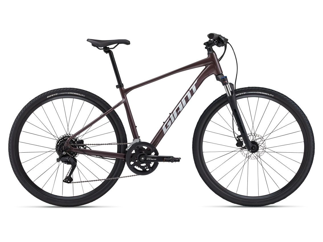 Giant Roam 2 Disc (2024), Size: Medium