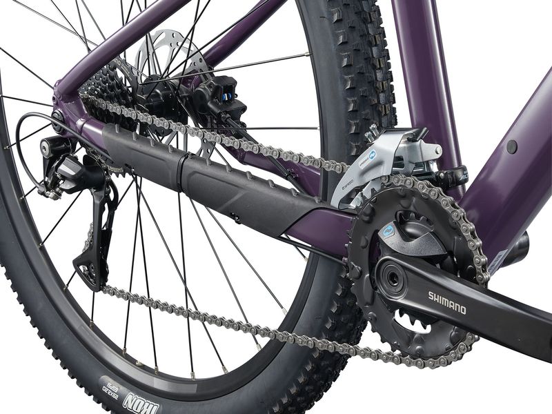 Liv Tempt 3 (2025 )