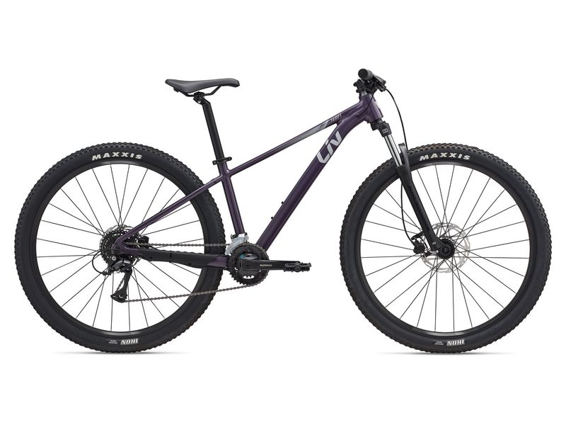 Liv Tempt 3 (2025 )
