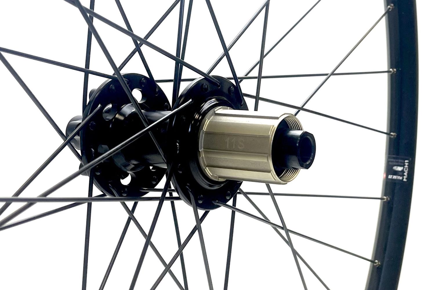 Cycle Division 29.0 Rear Wheel - Sealed Bolt-Thru Hub / Gravel Disc Rim - Black