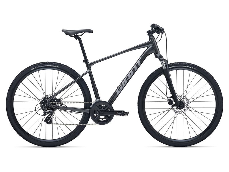 Giant Roam 4 (2026)