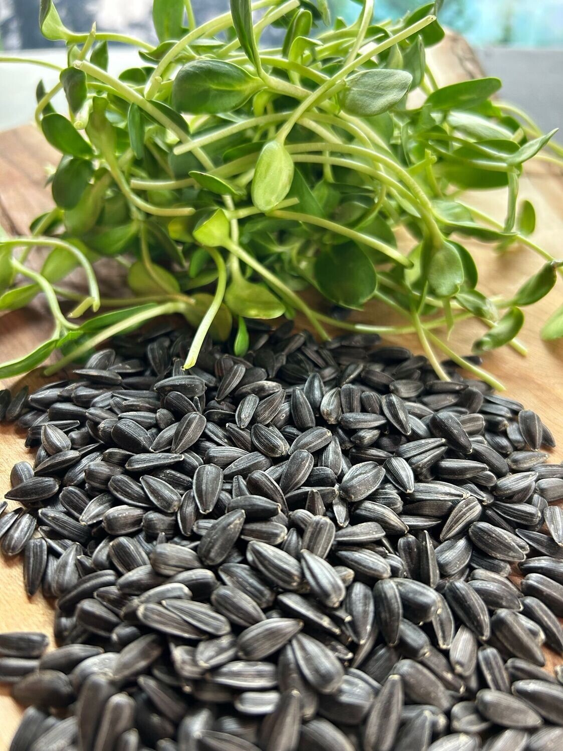 Sunflower Seeds