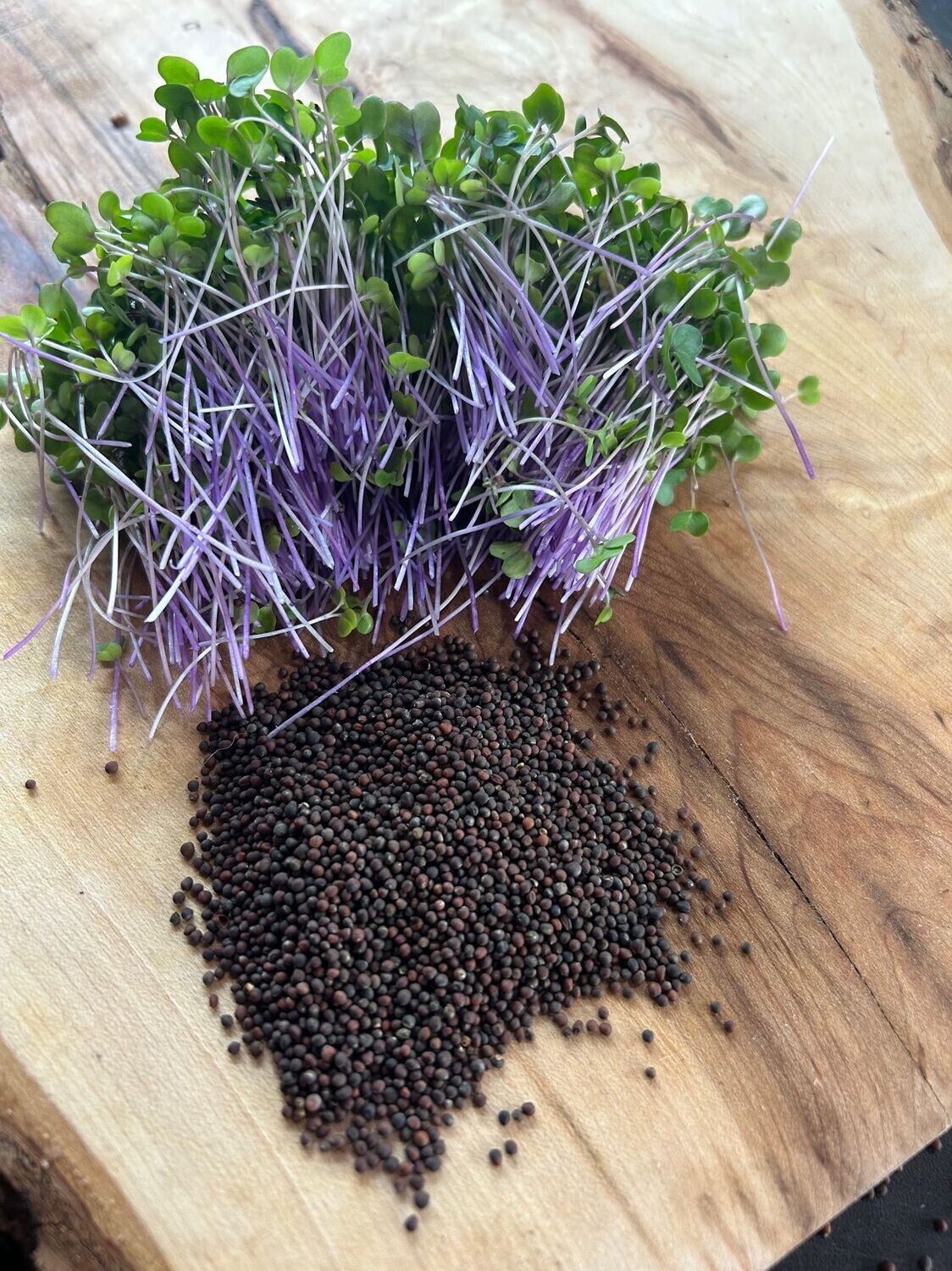 Purple Kohlrabi