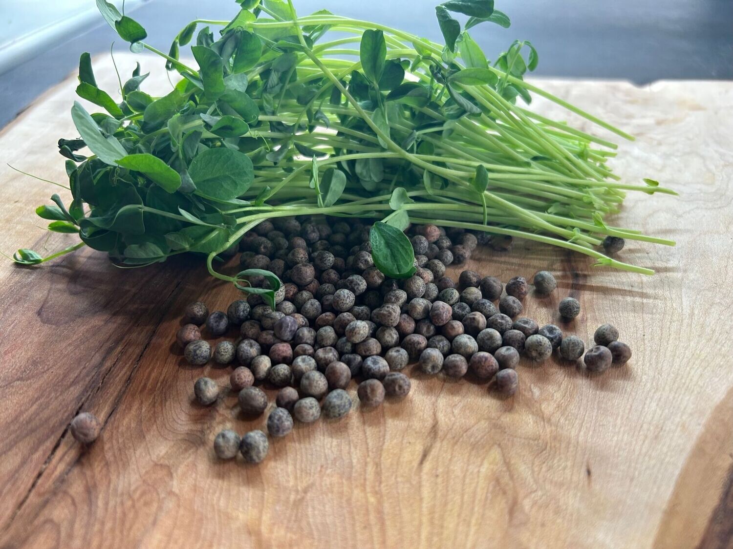 Sweat Pea Seeds