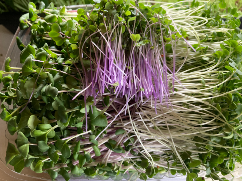 Microgreens