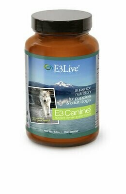 E3 Canine